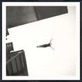 Charger l'image dans la visionneuse de la galerie, Diving C.1941