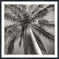 Load image into Gallery viewer, Palm Tree C. 1959