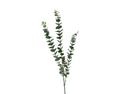 Load image into Gallery viewer, Faux Eucalpytus Branch