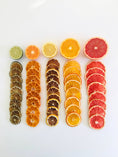 Load image into Gallery viewer, Citrus Mix - 5 Citrus Blend