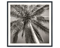 Load image into Gallery viewer, Palm Tree C. 1959