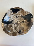 Load image into Gallery viewer, Petrified Wood Bowl