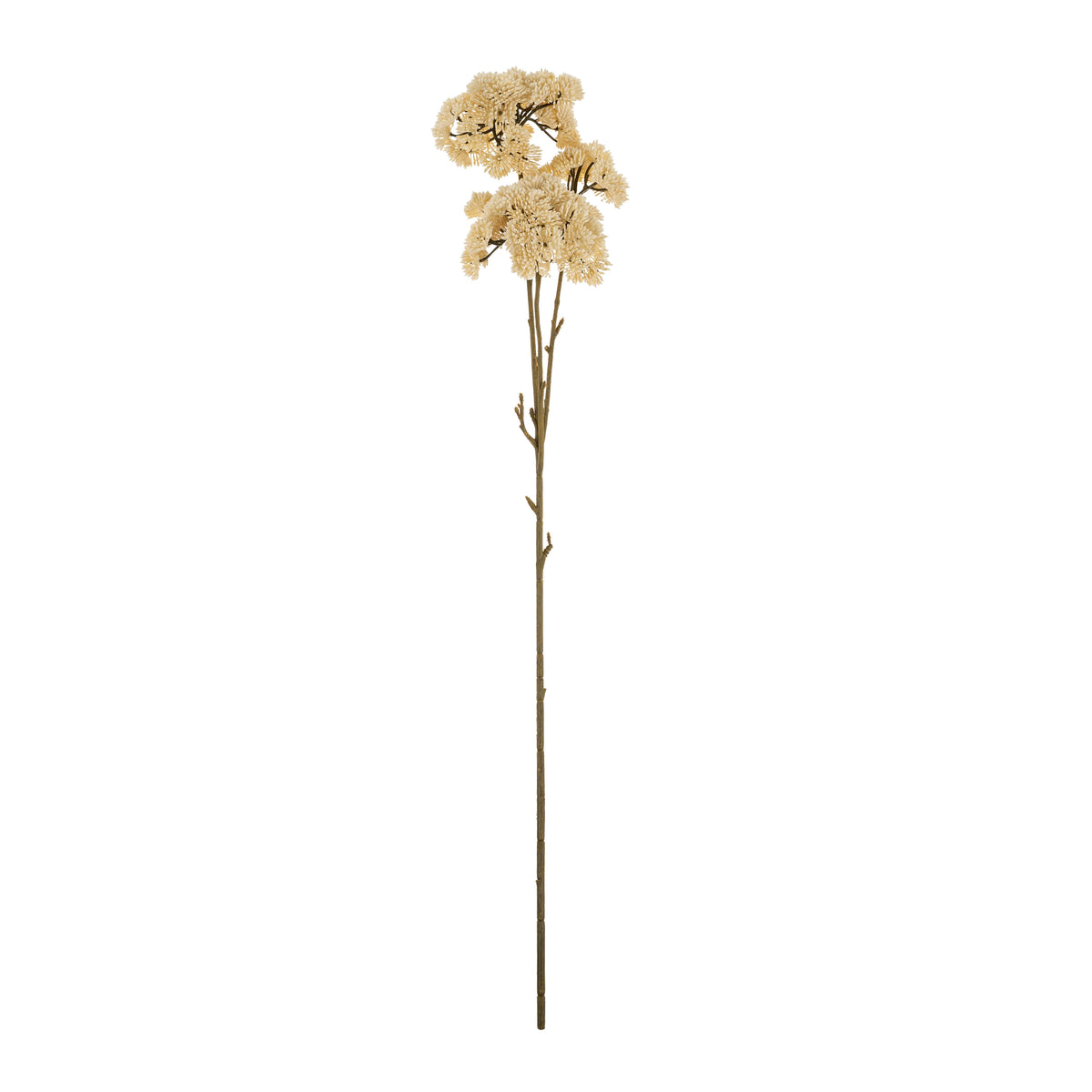 Cream Pom Pom Spray