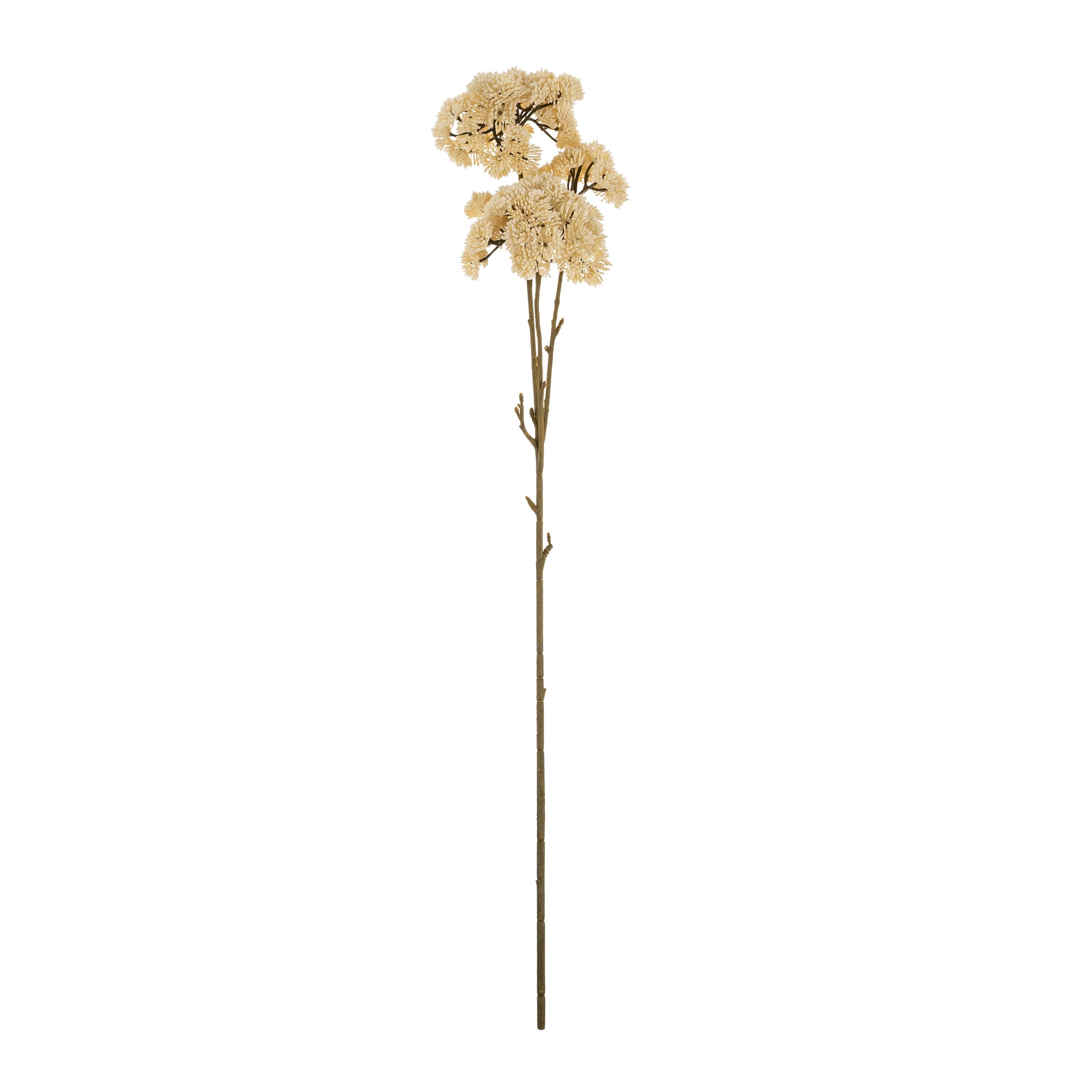 Cream Pom Pom Spray
