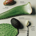 Charger l'image dans la visionneuse de la galerie, WIRED: The Body Exfoliant
