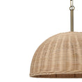 Charger l'image dans la visionneuse de la galerie, Ciara Ceiling Fixture
