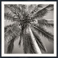 Load image into Gallery viewer, Palm Tree C. 1959
