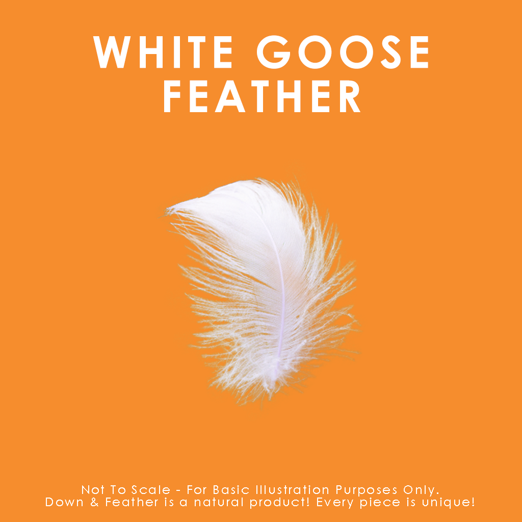 White Goose Feather Cushions: 22" x 22"