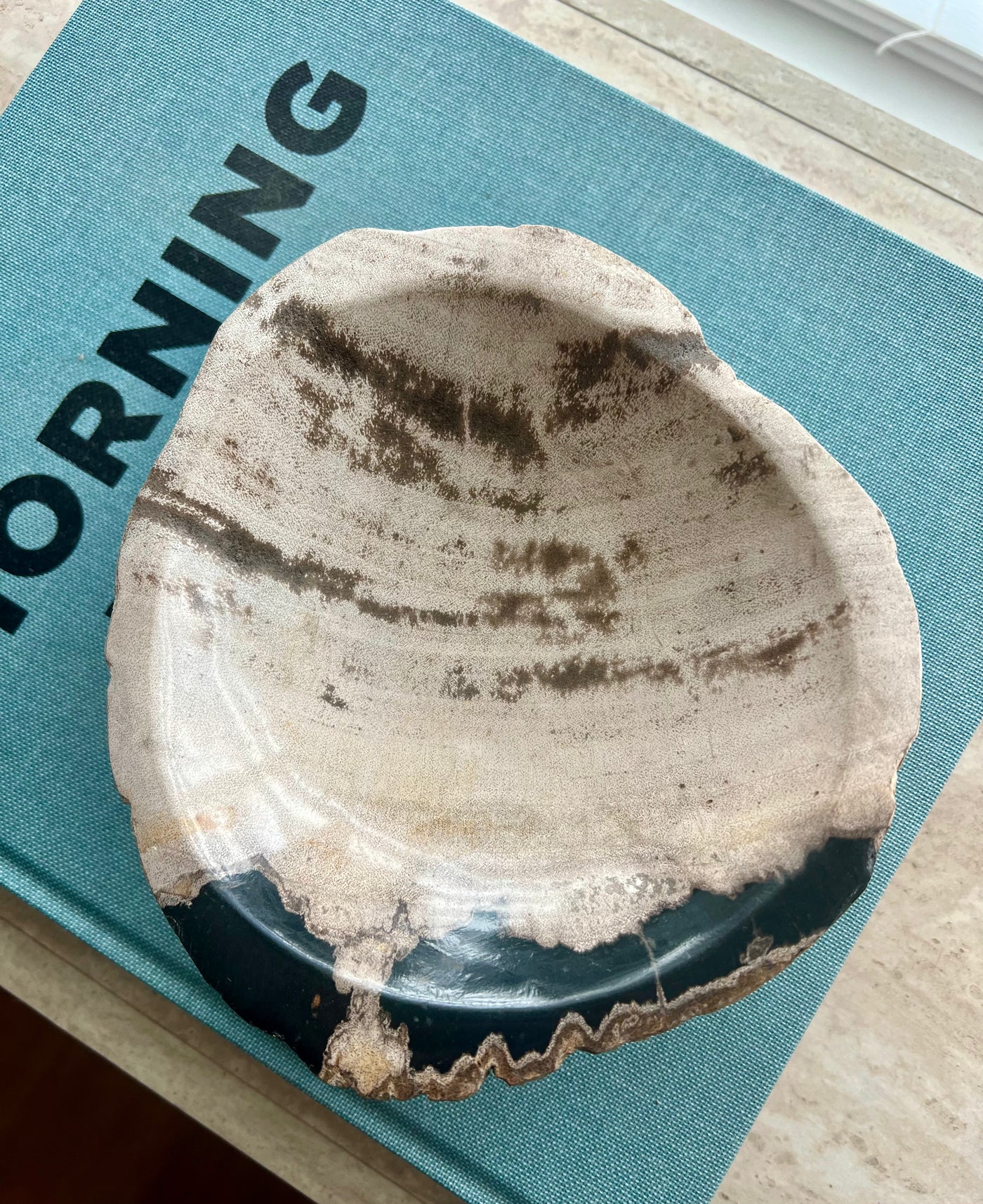 Petrified Wood Bowl Catchall