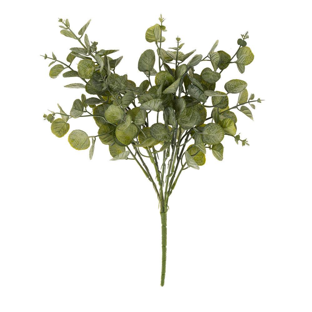 Eucalyptus Spray