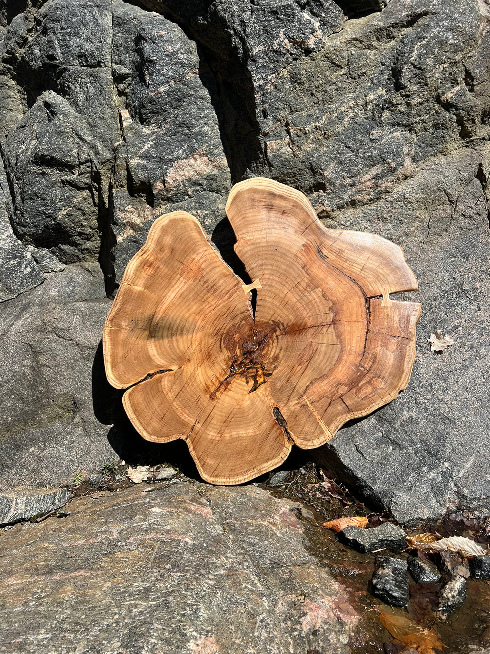 Organic Wood Tray