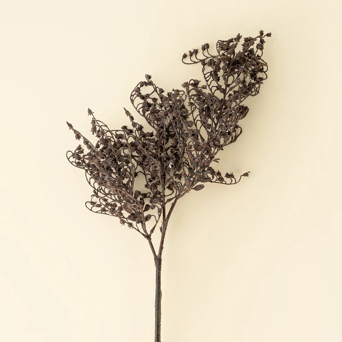 Dripping Dried Berry Spray