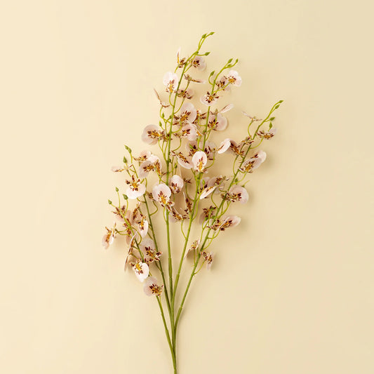 Wild Orchid Spray