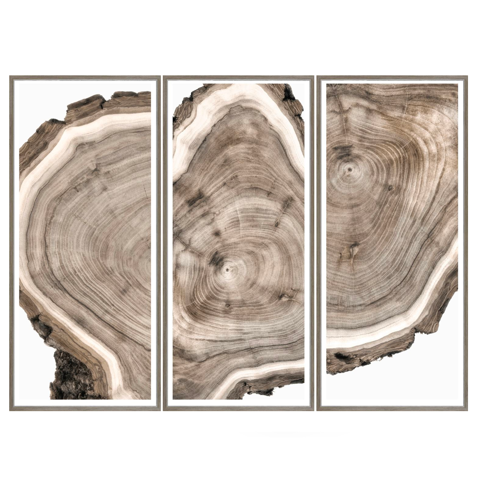 Live Edge Triptych