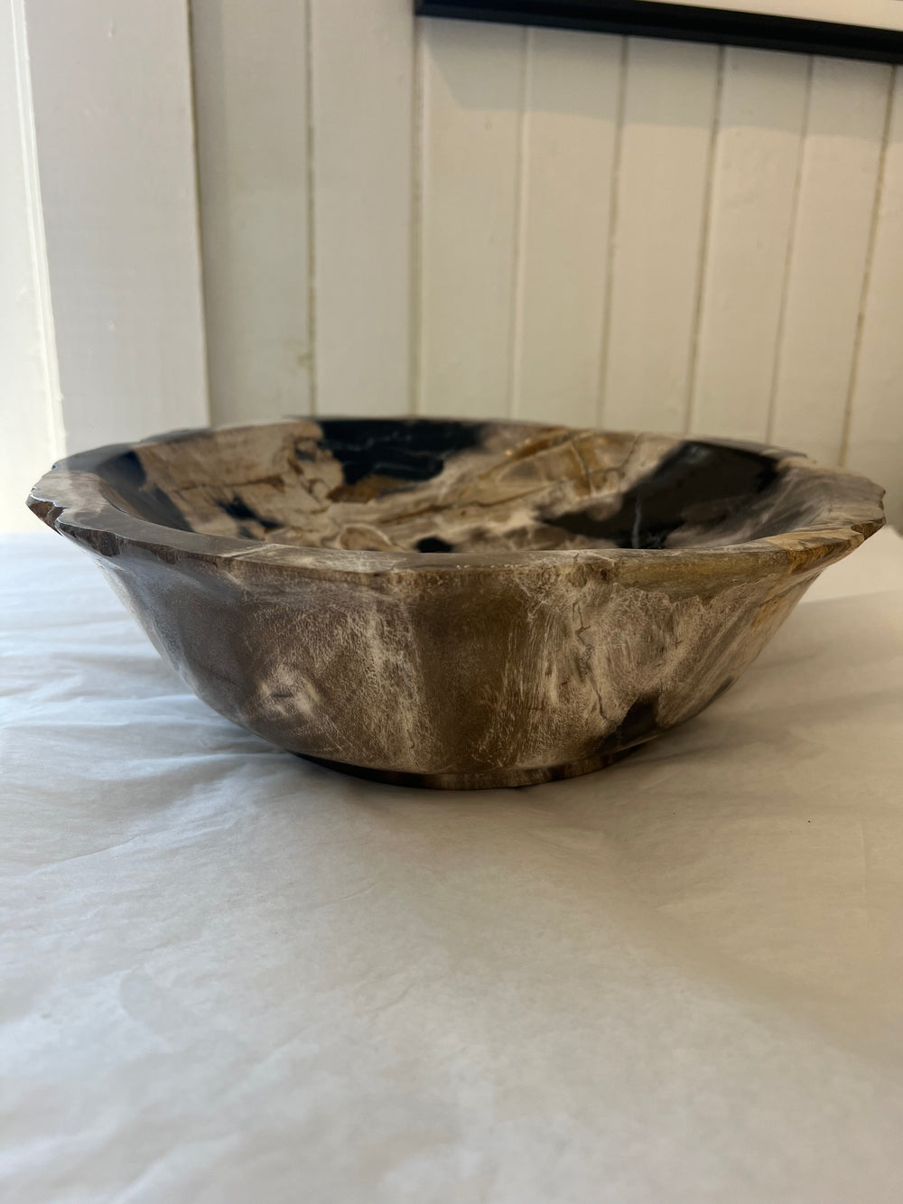 Petrified Wood Bowl