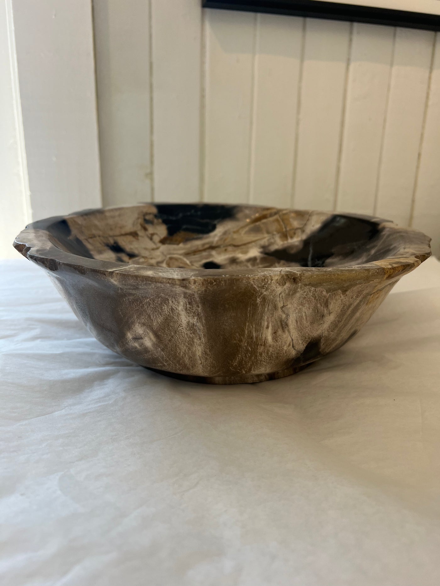 Petrified Wood Bowl