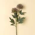 Load image into Gallery viewer, Sedum Spray, Purple

