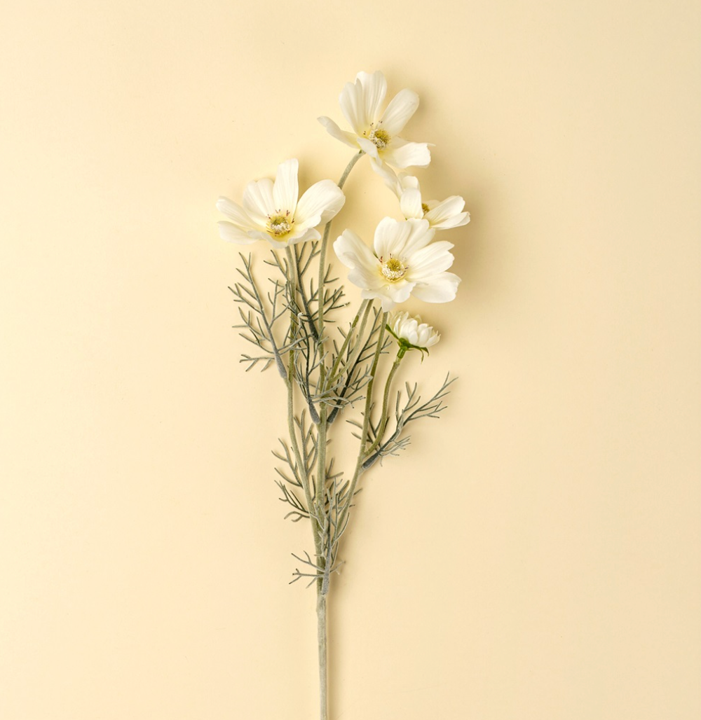 White Cosmos Spray