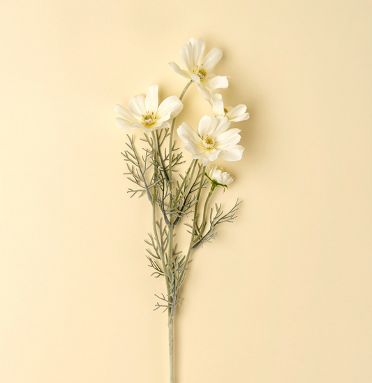 White Cosmos Spray