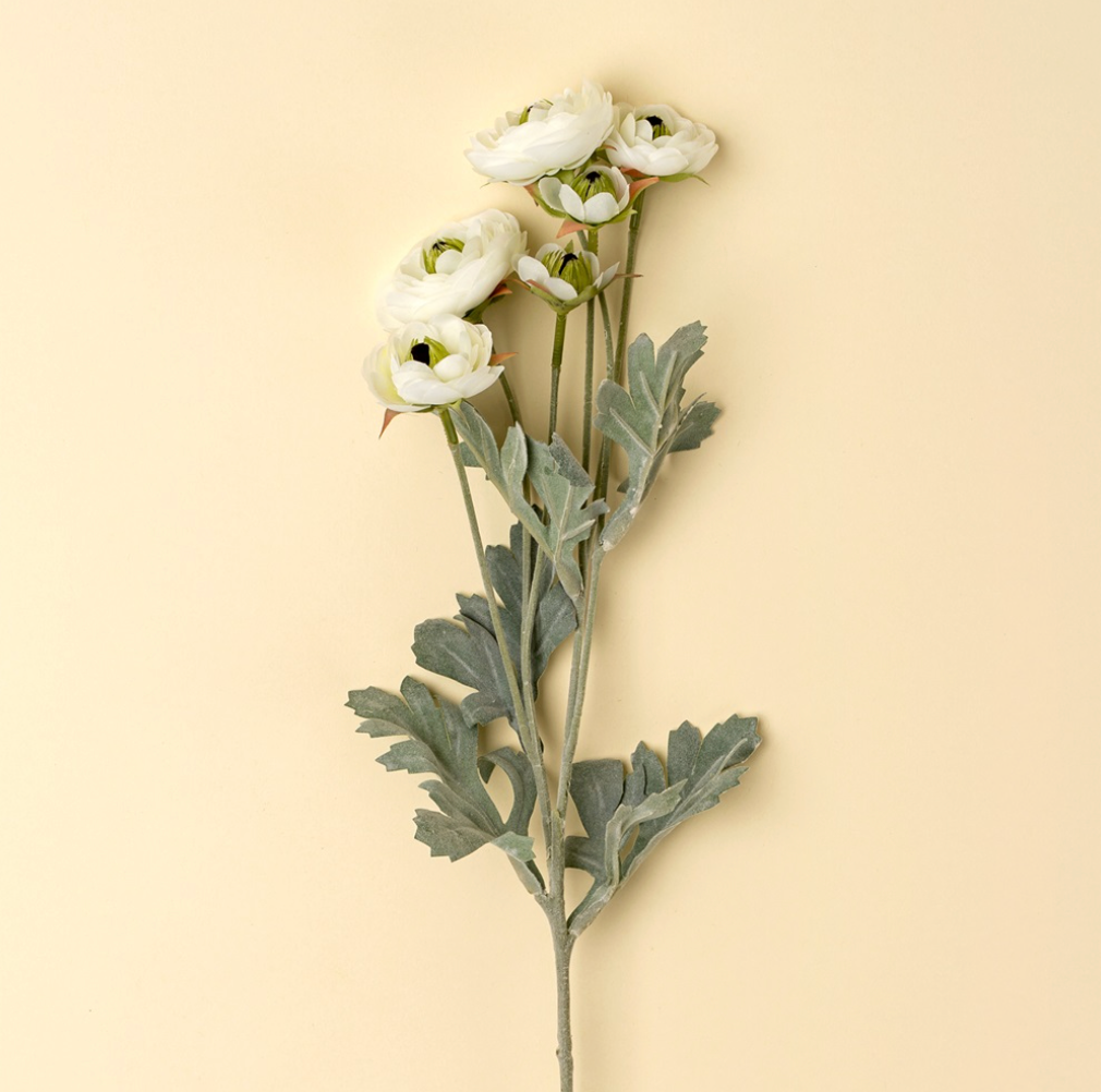 Ranunculus Spray, White