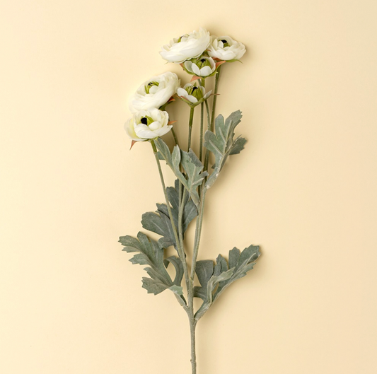 Ranunculus Spray, White