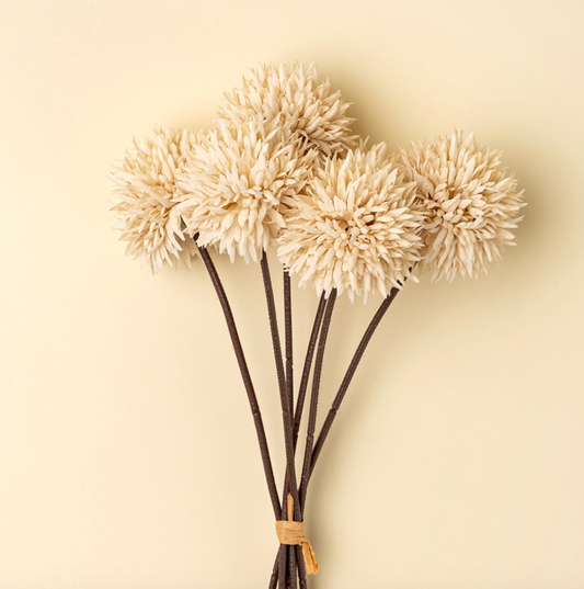 Mini Allium Bouquet, Cream