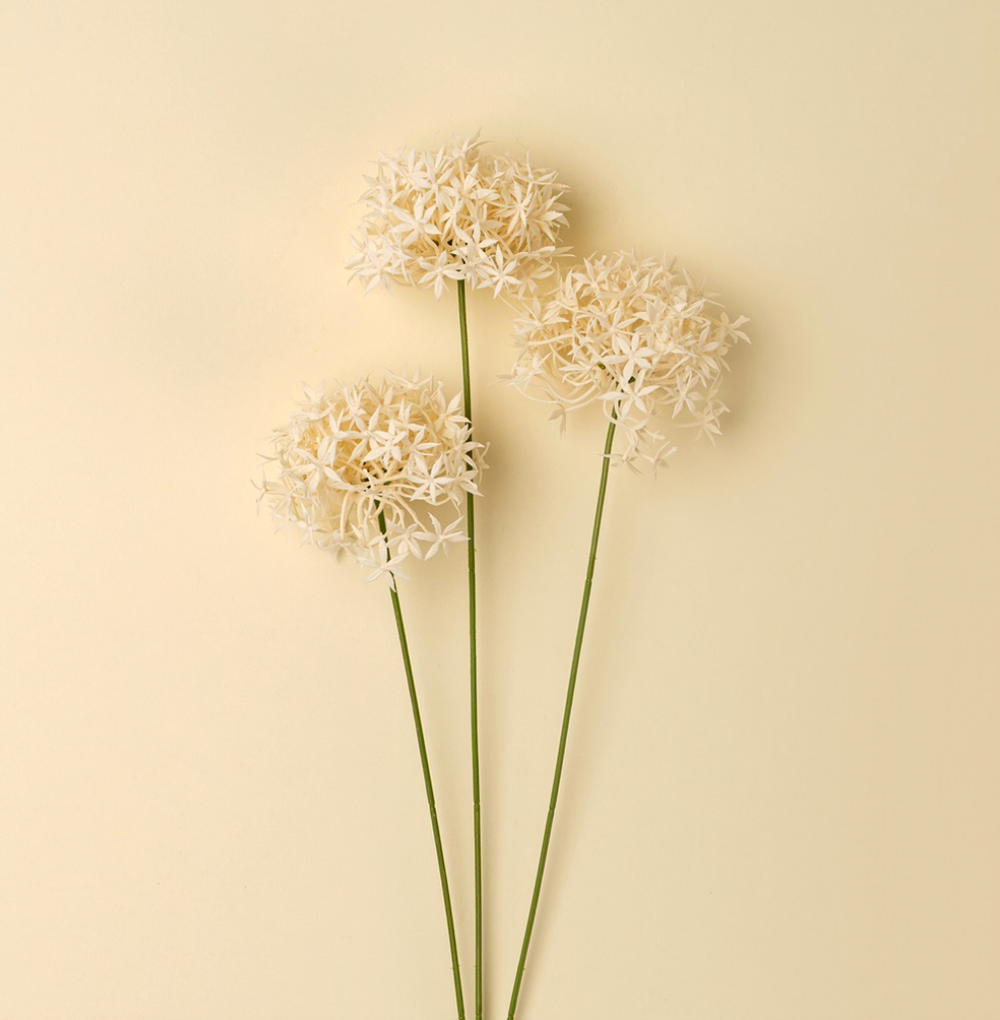 Allium Floral Spray, Champagne