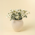 Load image into Gallery viewer, Ranunculus Spray, White
