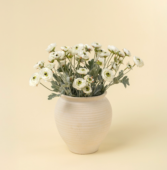 Ranunculus Spray, White