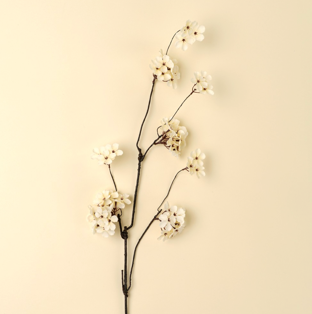 Pear Blossom Branch