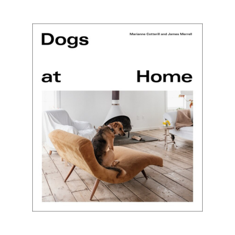 Dogs at Home