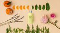 Charger l'image dans la visionneuse de la galerie, All-Purpose Cleaner : Citrus Oasis
