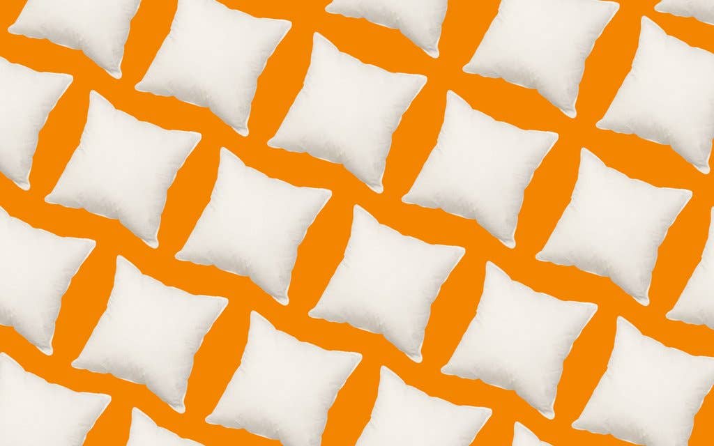 White Goose Feather Cushions: 22" x 22"