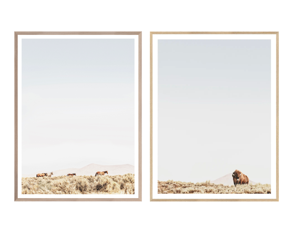 Horses on a Plain