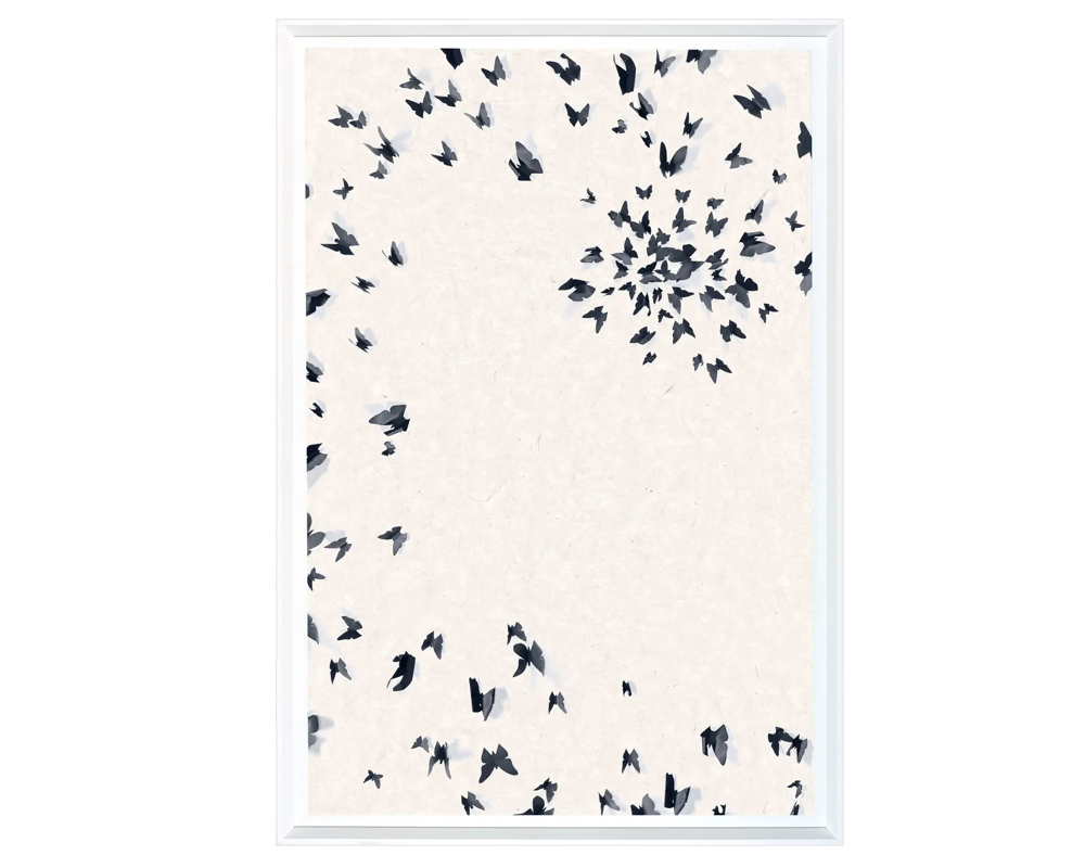 Spirale Papillon