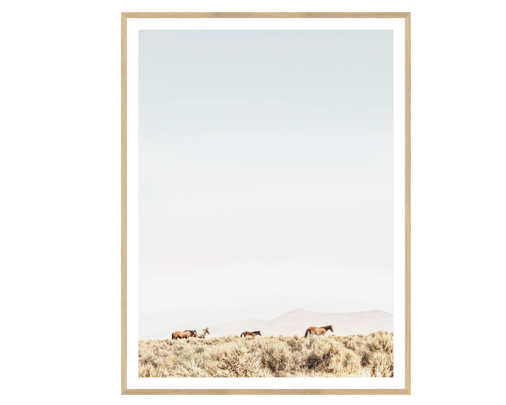 Horses on a Plain