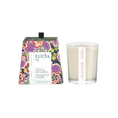 Load image into Gallery viewer, Lucia Soy Candles
